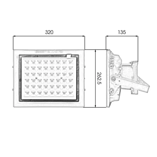 Đèn phòng nổ DNP1S150 - Ảnh 6