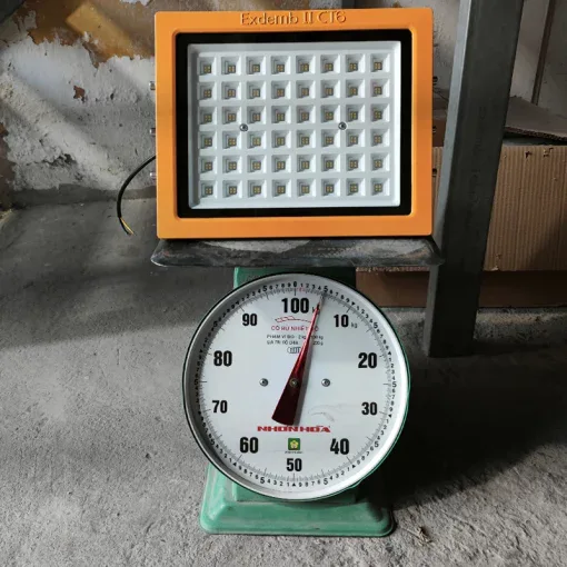 Đèn phòng nổ DNP1S150 - Ảnh 2